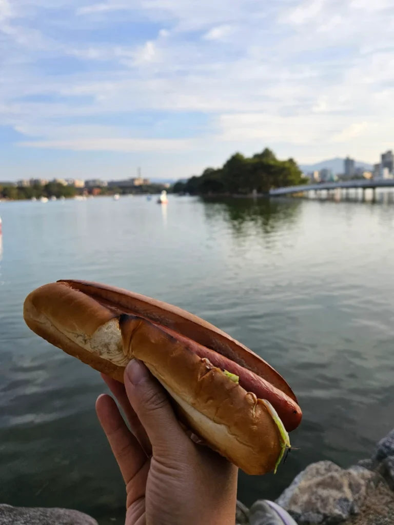 Hotdog on a toasted bun overlooking Ohori Lake