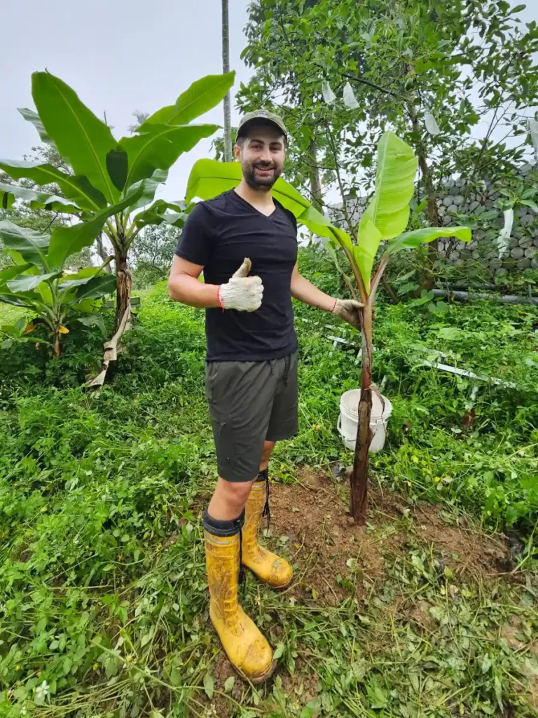 Tim planting a baby banana tree on a farm in the mountains of Chiayi surrounded by green nature.