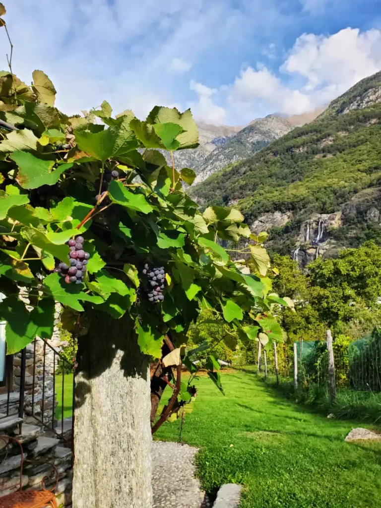 A view from outside of a farmstay accommodation overlooking a wine vineyard, a waterfall, and the mountains of northern Italy.