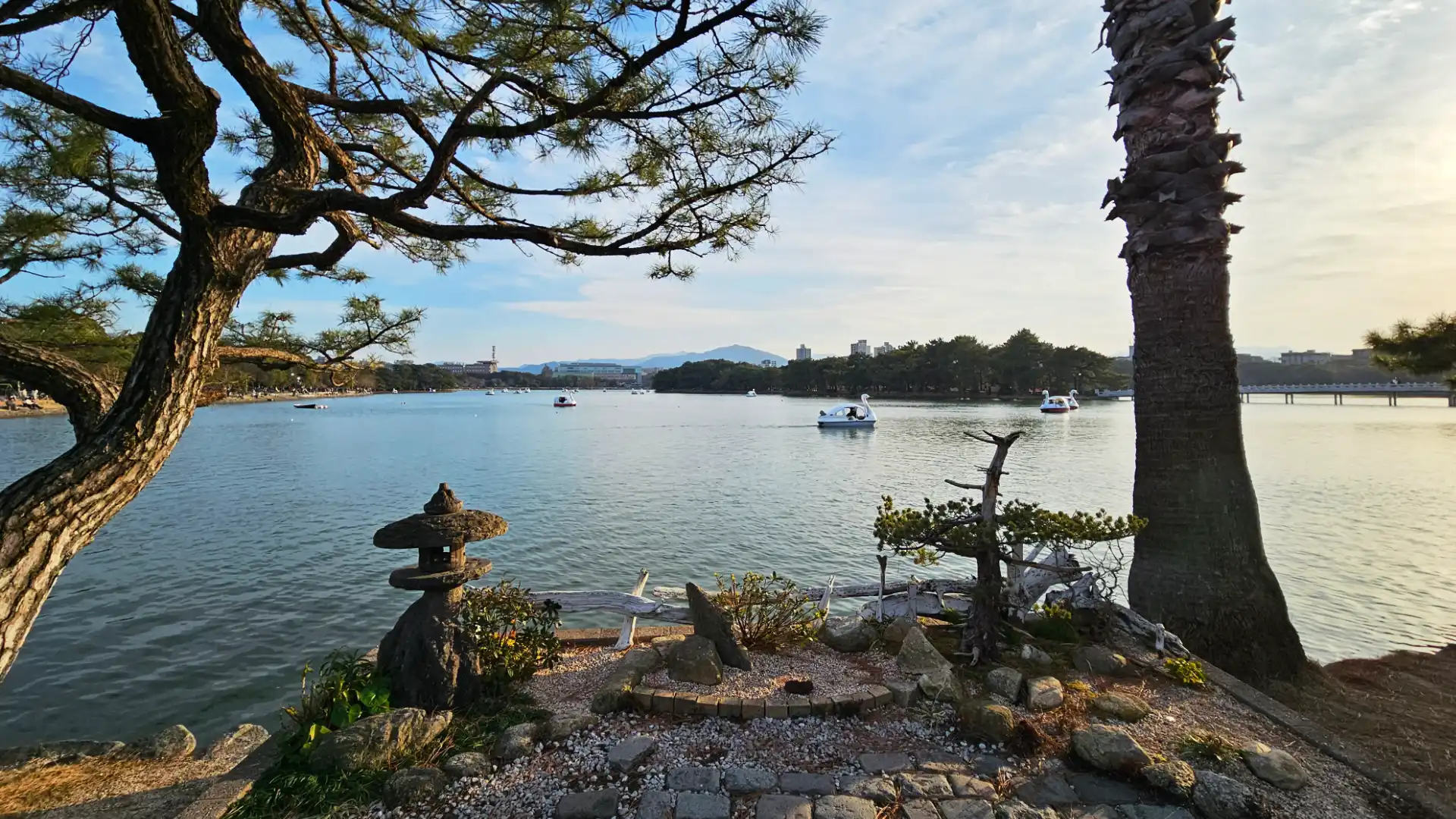 How to Experience Ohori Park: A Peaceful Day in Fukuoka