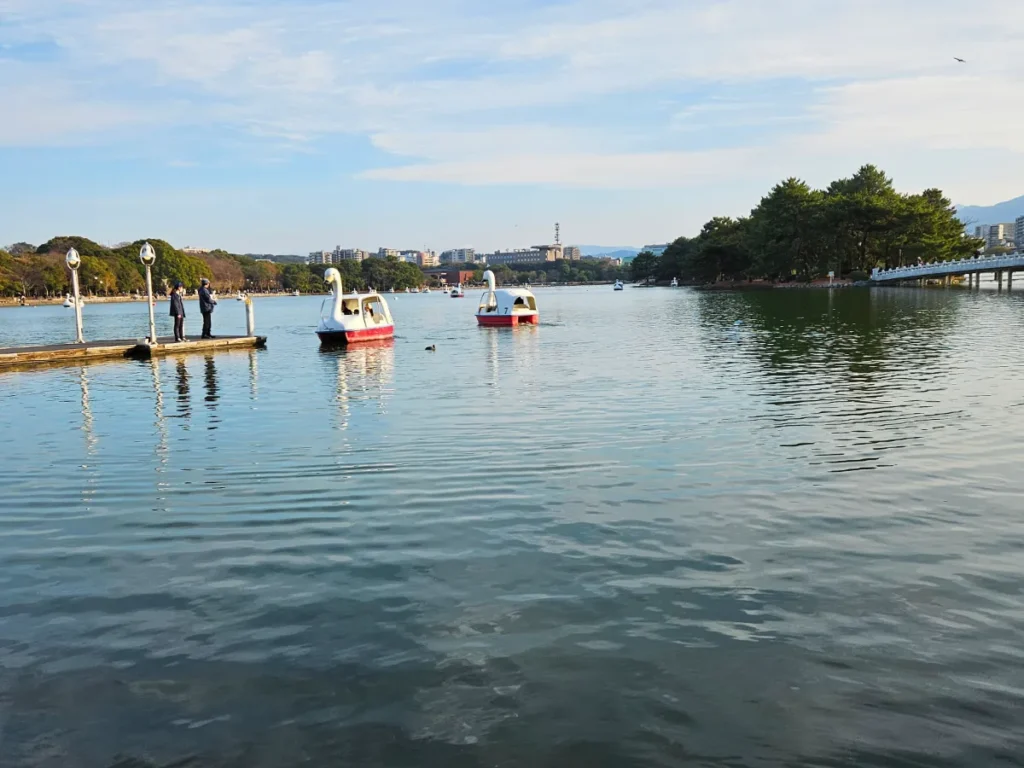 Swan boats returning to dock in Ohori Pond at Ohori Park.