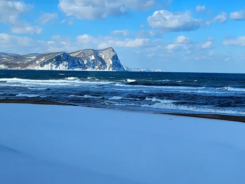 A view of snow-covered cliffs plunging into the dark blue ocean, seen from our bus window on the drive back to Sapporo from Niseko.