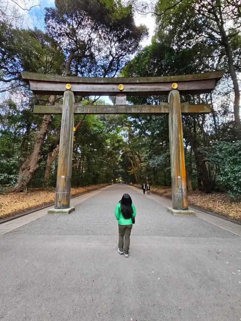 Zoe wearing a bright green jacket stands before the massive wooden torii gate entrance to Meiji Jingu shrine in Tokyo, surrounded by a peaceful forest path.