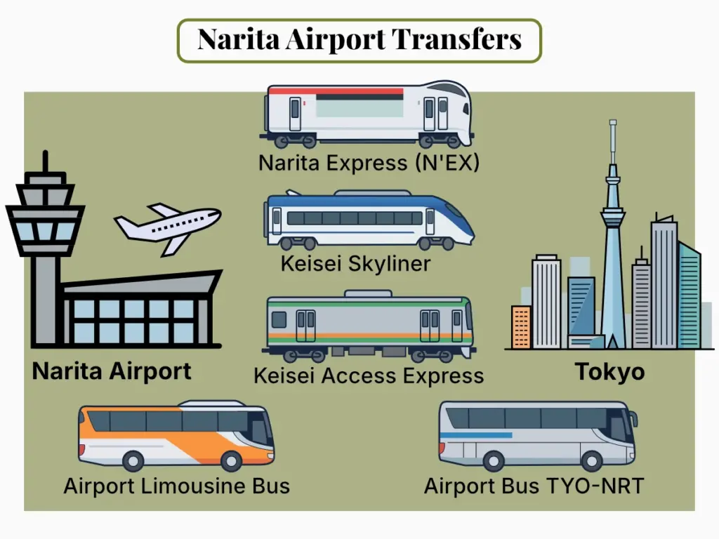 An infographic illustrating Narita Airport transfers, showing the Narita Express, Keisei Skyliner, Keisei Access Express, and airport buses as your primary options for getting around Tokyo from Narita.