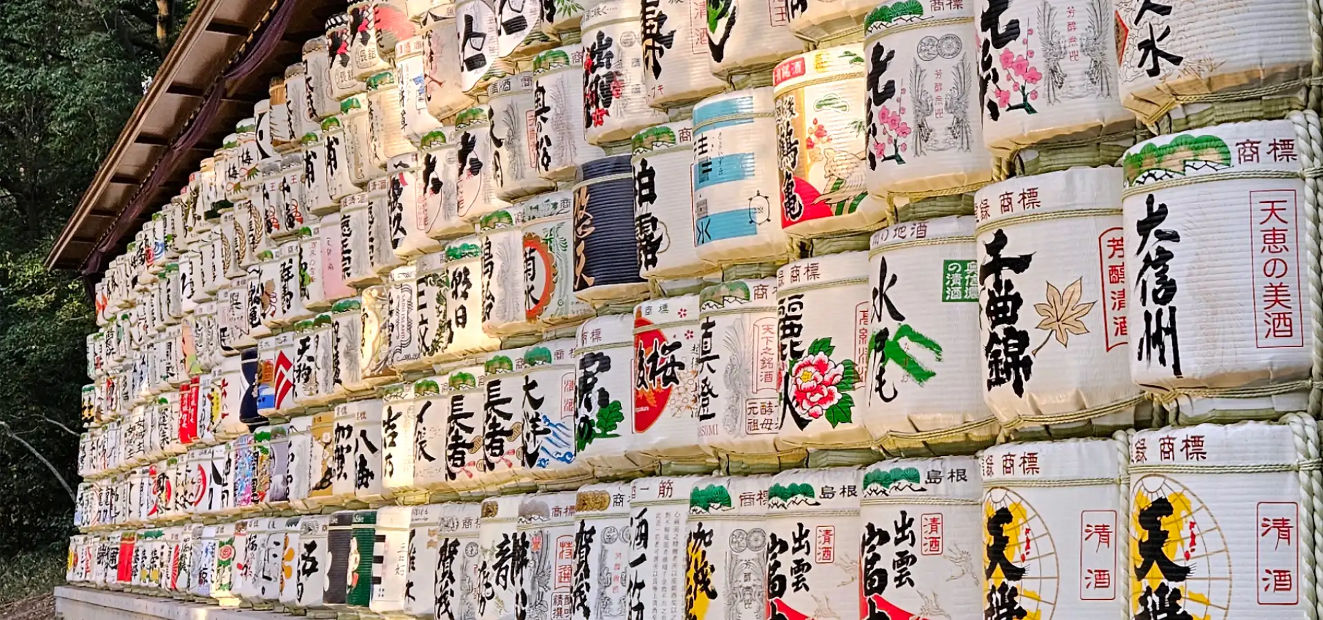 Your 2026 Tokyo Itinerary: A Slow Travel Guide