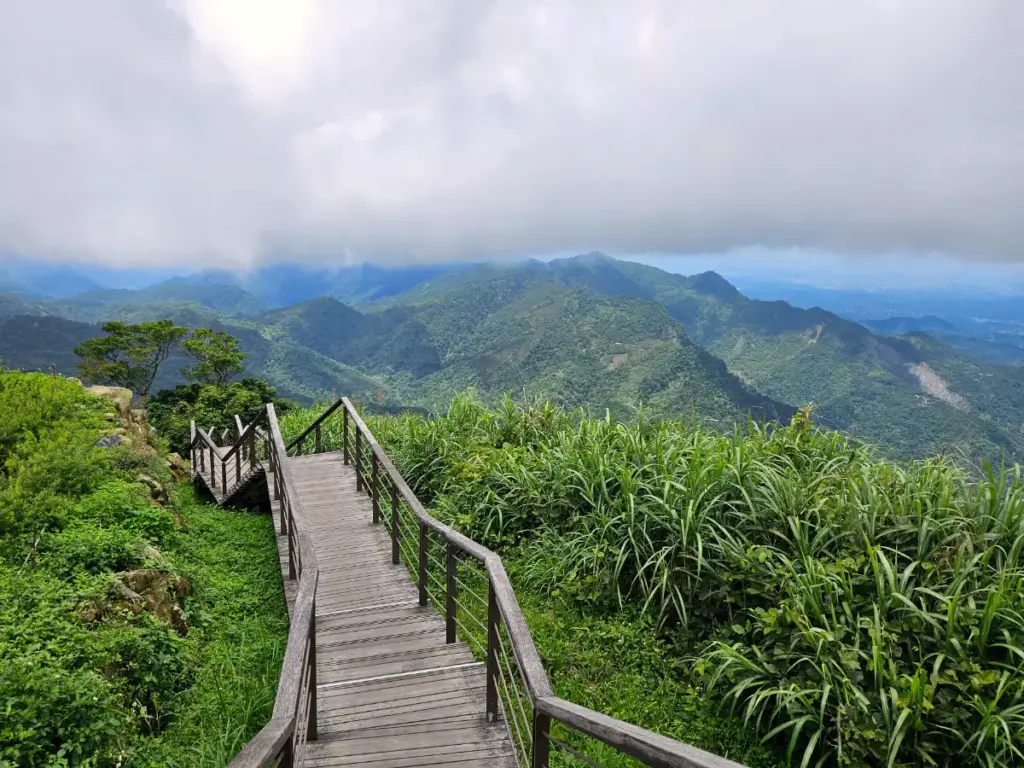 The wooden stairs of the Eryanping Trail looking out over the magnificent green cedar forests and misty mountains of Alishan.