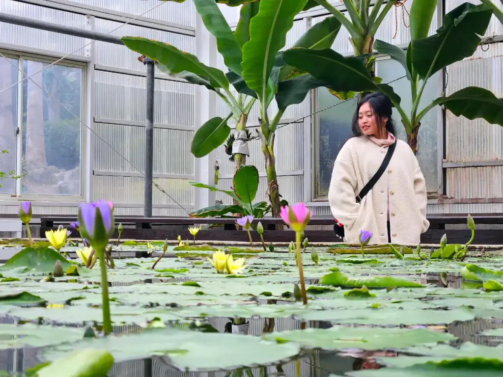 The interior of the Umi Jigoku greenhouse in Beppu, featuring tropical plants, banana trees, and a large central pond filled with colorful water lilies.